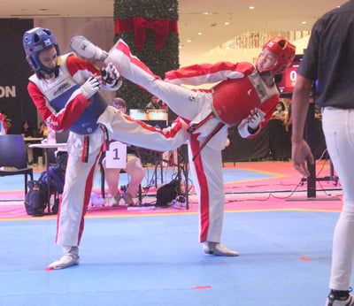 Smart/MVPSF sets Best-of-the-Best taekwondo tilt